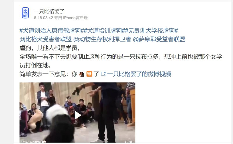 中国的培训狗狗，是走虐狗路线投稿By