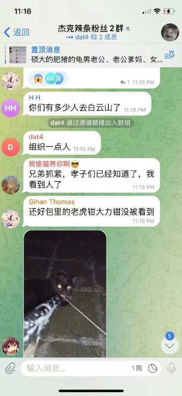 董志辉团伙继续虐猫，并将范围扩大到全国董志辉团伙继续虐猫，并将范围扩大到全国