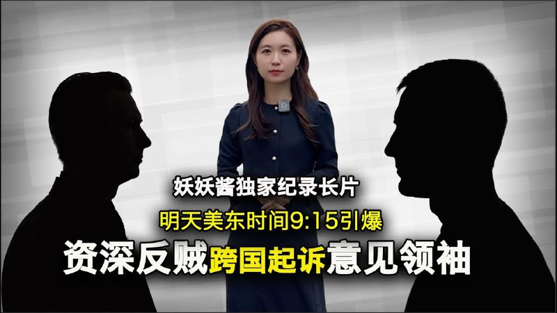 王志安这种“前体制内
