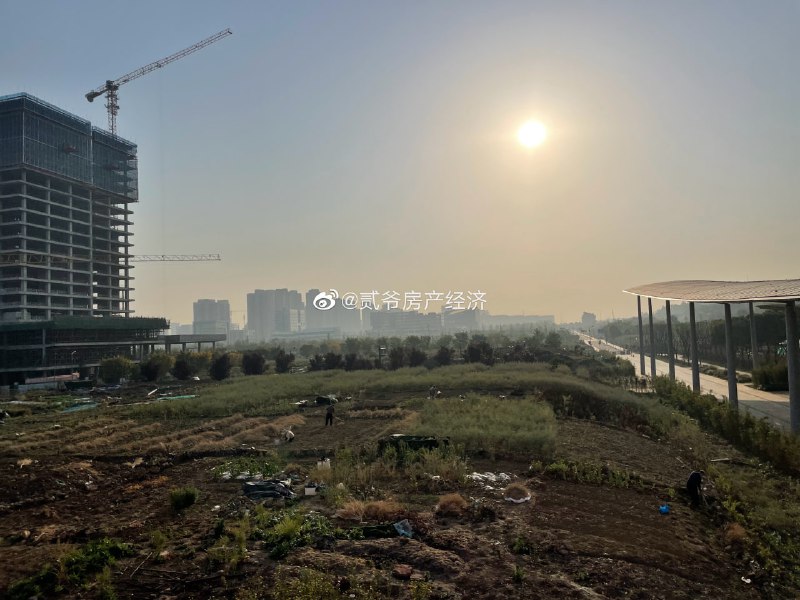 就是玩，19年刚建的公园，现在就开始改种地了就是玩，19年刚建的公园，现在就开始改种地了