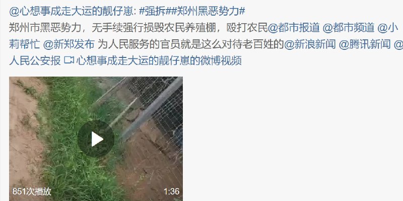 #墙国粉红现世报 荷兰粉红惨遭铁拳投稿By