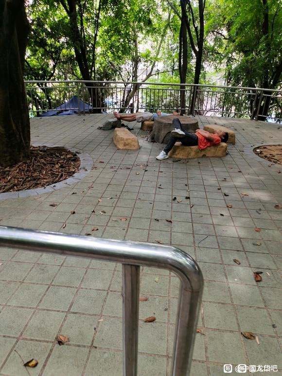 这是不文明行为哦By