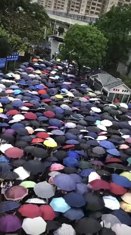 上海核酸人投稿By