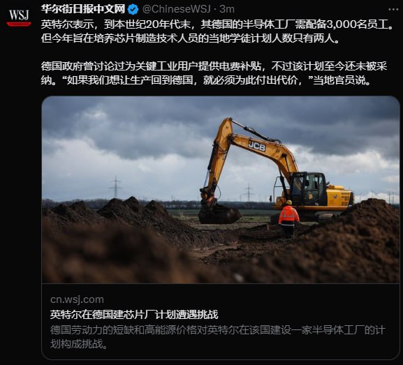 抽象，德国自杀中，目标回归原始社会