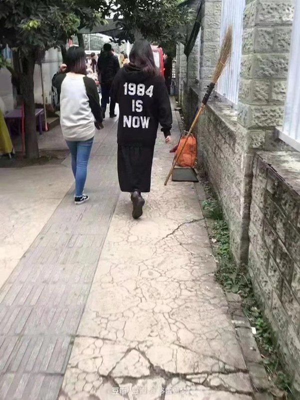 衣服很好看，我们怀念她😈投稿By