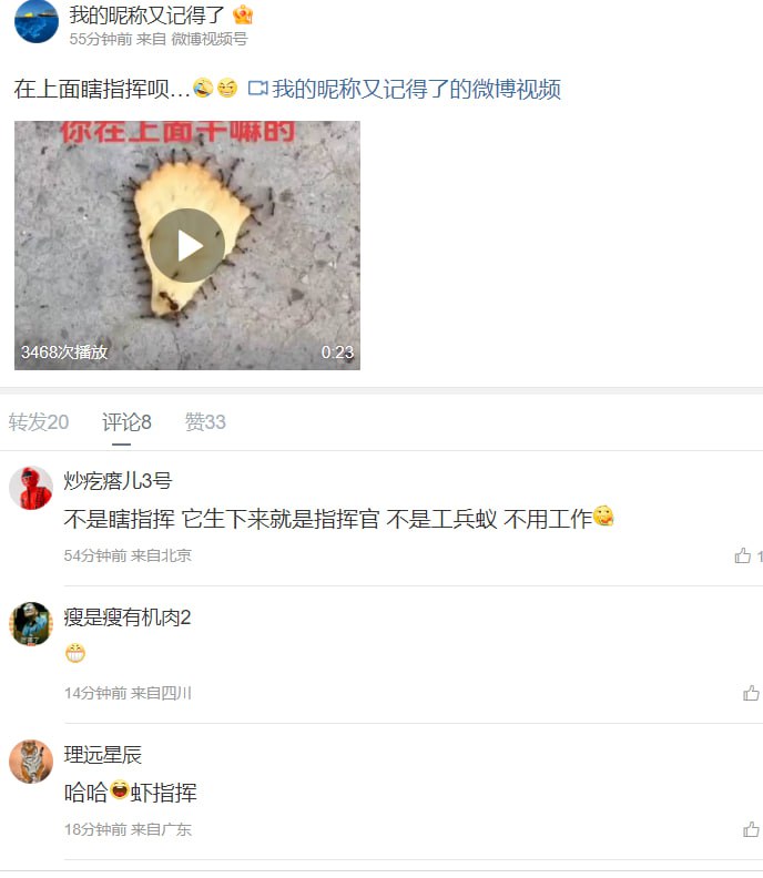 🤡新皮肤🤡新皮肤