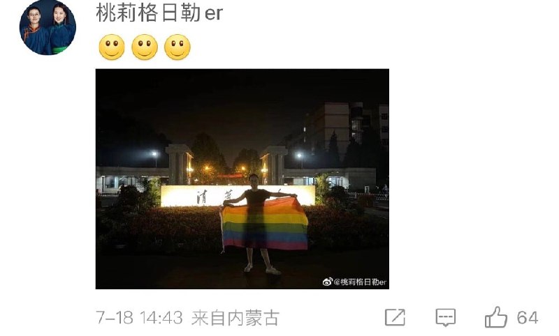 清华大学两学生放彩虹旗 ，惨遭铁拳投稿By