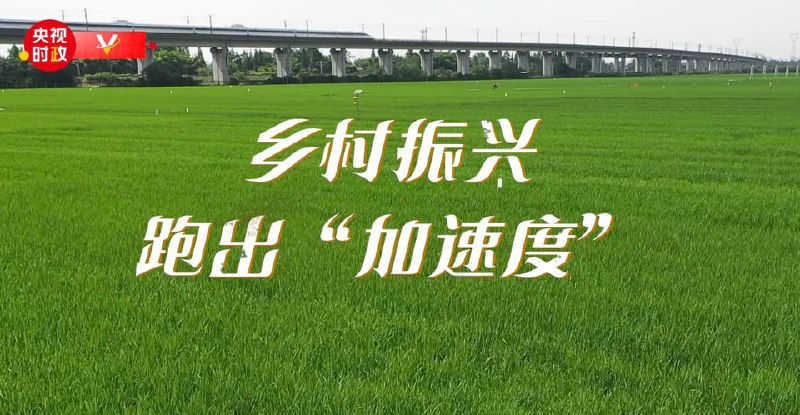 全面塑造“实、形、魂” 聚力绘就乡村振兴美好画卷投稿By