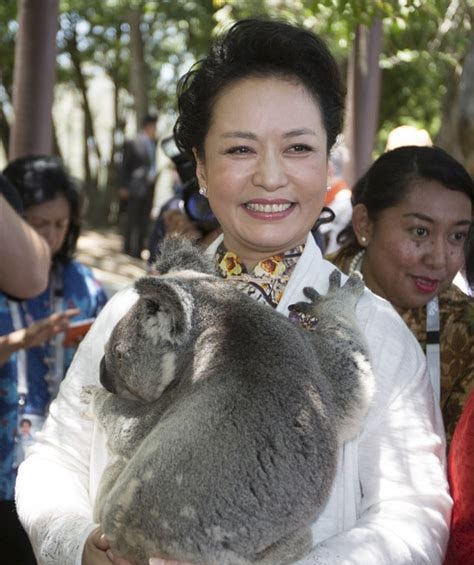 谁爱动物，就该拥护谁投稿By