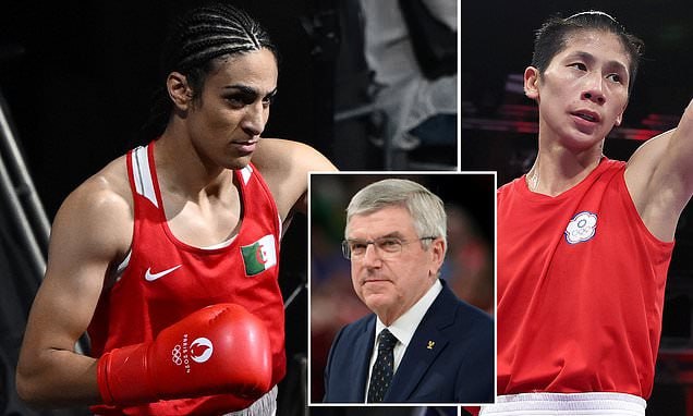 备受争议的两位选手将争夺女子拳击金牌备受争议的两位选手将争夺女子拳击金牌