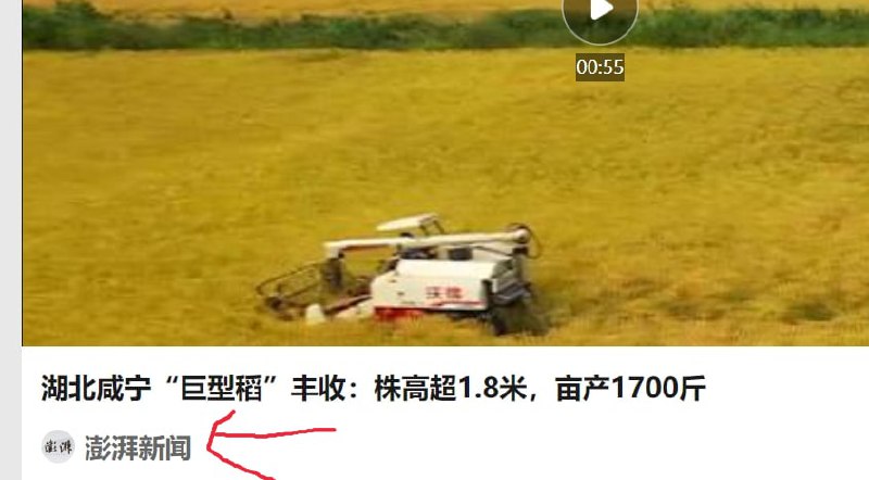 开始了，习时代亩产马迎新⚔️大佐开始了，习时代亩产马迎新⚔️大佐