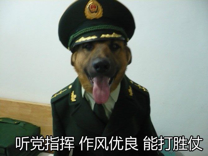 狗子一兴奋高喊口号投