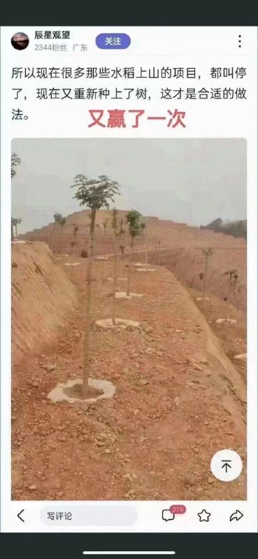 精神病国家，把山砍得光秃秃后又去栽树精神病国家，把山砍得光秃秃后又去栽树