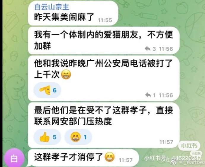 晶哥加入虐猫行动，全国大虐猫，消息来源