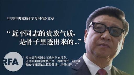 这沼气池一突开，喷得我满脸贵族气息马迎新操死习近平