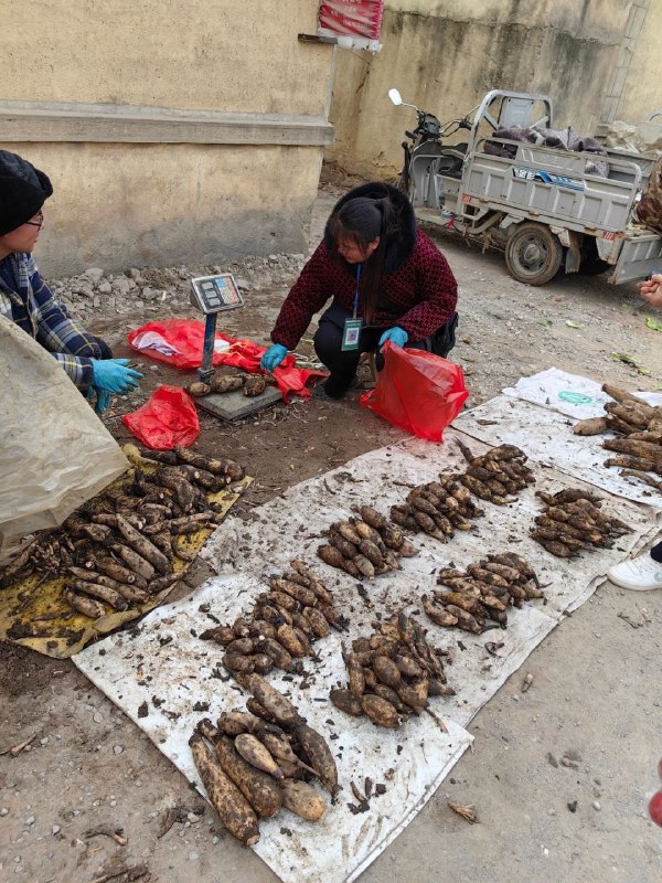 社会主义好，社会主义好，社会主义国家人民地位高😁投稿By