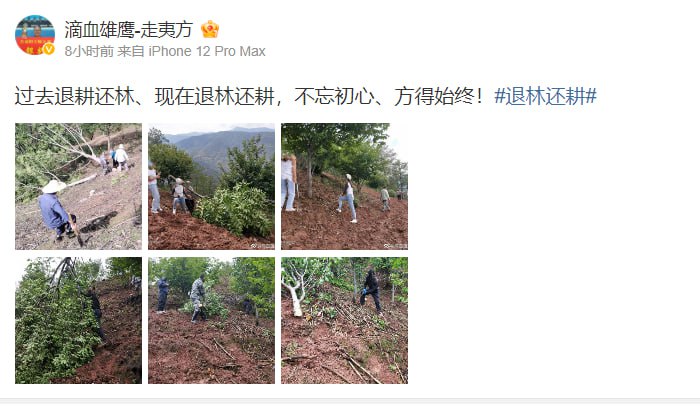 精神病国家，把山砍得光秃秃后又去栽树精神病国家，把山砍得光秃秃后又去栽树