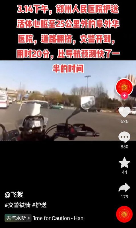 惨惨惨，活摘进行时惨惨惨，活摘进行时