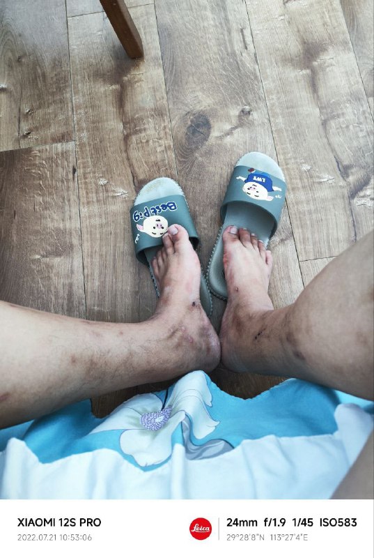 🐲 晶哥来抓我🐲 晶哥来抓我