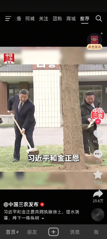 双日凌空，这树还能活