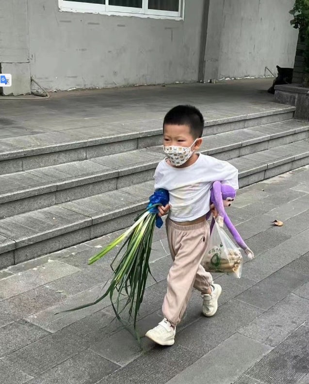 中法 《行走的男孩》马迎新⚔️大佐中法 《行走的男孩》马迎新⚔️大佐