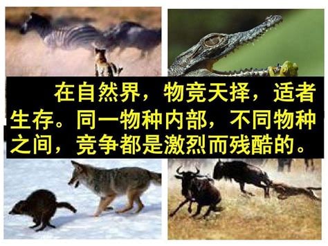 中国社会奉行的永恒真理中国社会奉行的永恒真理