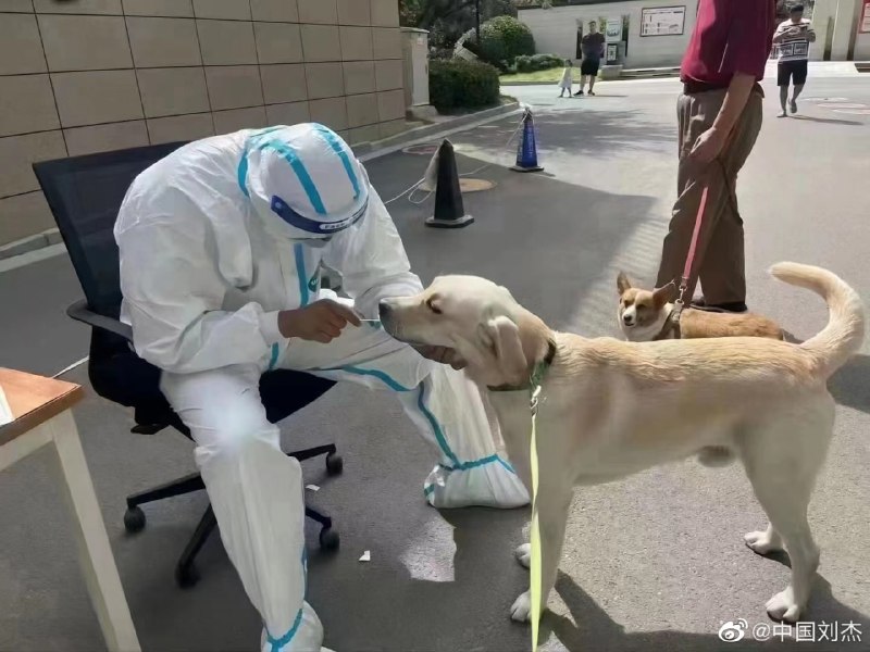 石家庄现状石家庄现状