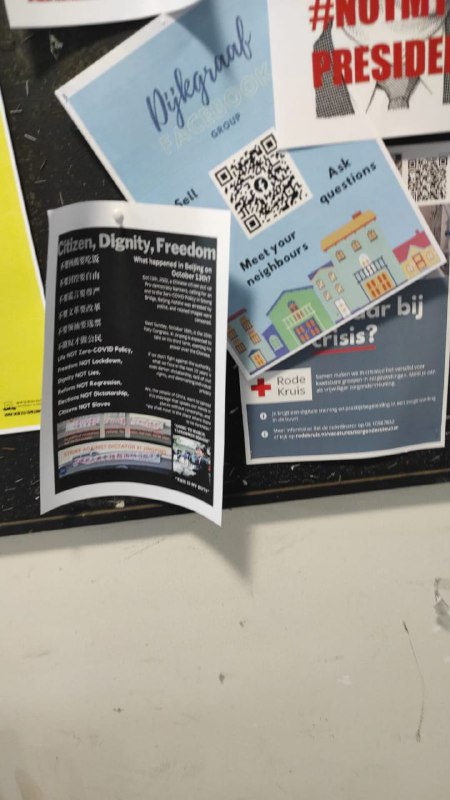 中荷友谊你们懂吗？By