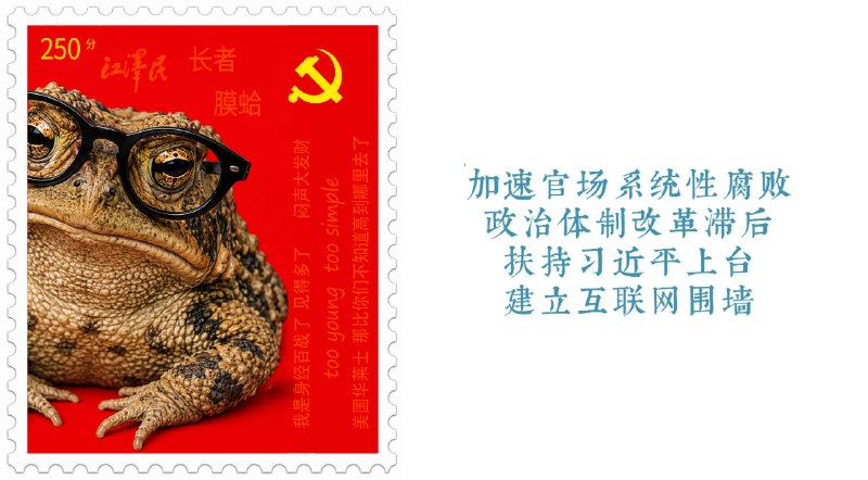 8月17日，新华社报