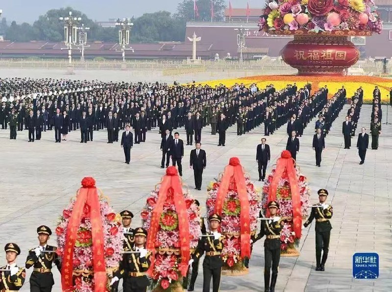 丸崽-马迎新丸崽-马迎新