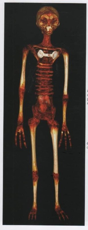 墨西哥于 2023 年 9 月 12 日举行 UFO 国会听证会墨西哥于 2023 年 9 月 12 日举行 UFO 国会听证会