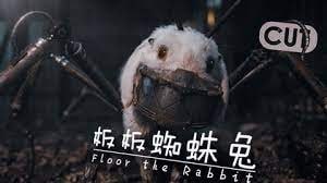 银河护卫队辱兔友银河护卫队辱兔友