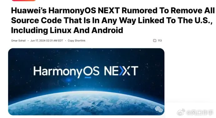 所以现在是杂种所以现在是杂种