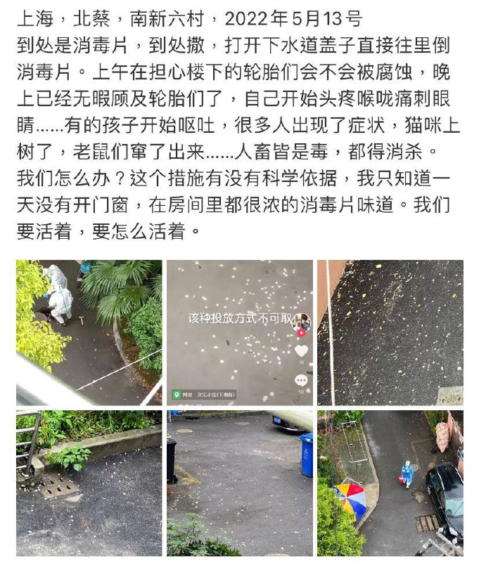 来咯，小白鼠#动态清0By