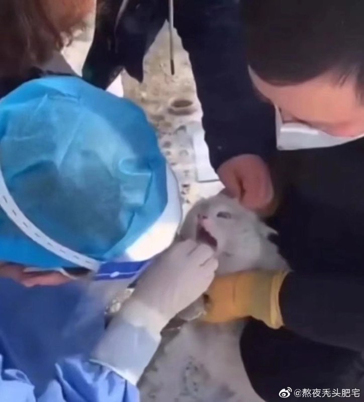 一些感人瞬间一些感人瞬间