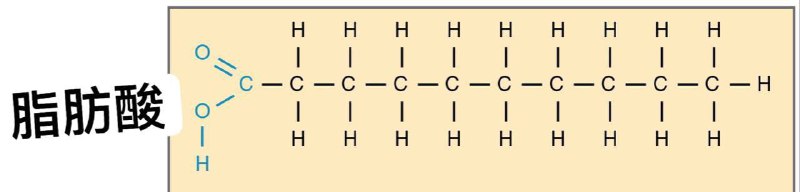 就比这个合成路径怕不是贵死你用地沟油提炼石蜡油说环保底低碳我就纳闷了你确定提炼地沟油不会加倍污染生物航煤是以可再生资源为原料生产的航空煤油，原料主要包括餐饮废油等动植物油脂，与传统石油基航空煤油相比，生物航煤全生命周期二氧化碳排放最高可减排50%以上