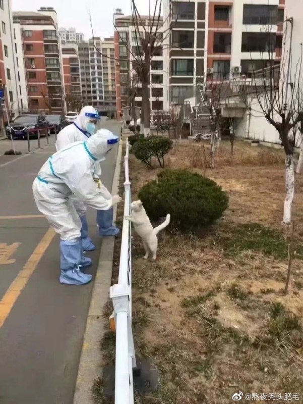 一些感人瞬间一些感人瞬间