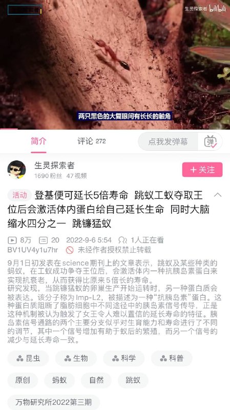 什么时候民间公开选秀女啊