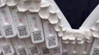 《阴性的翅膀》投稿By