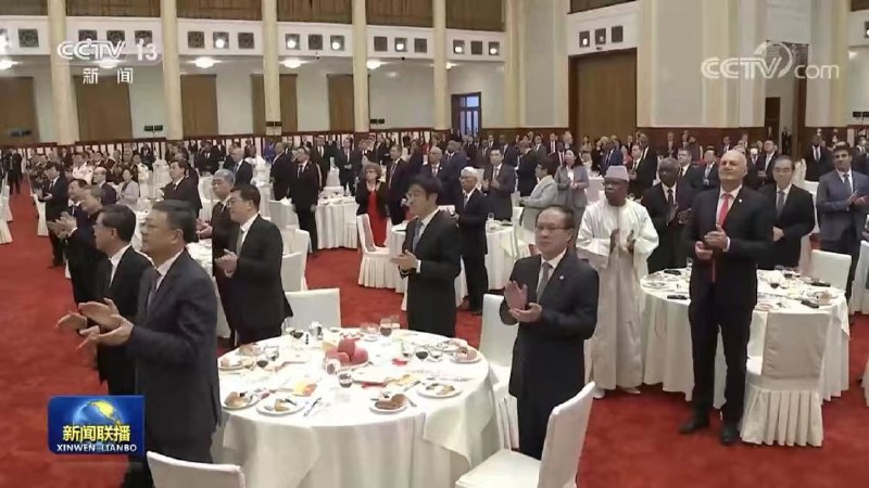 丸崽-马迎新丸崽-马迎新