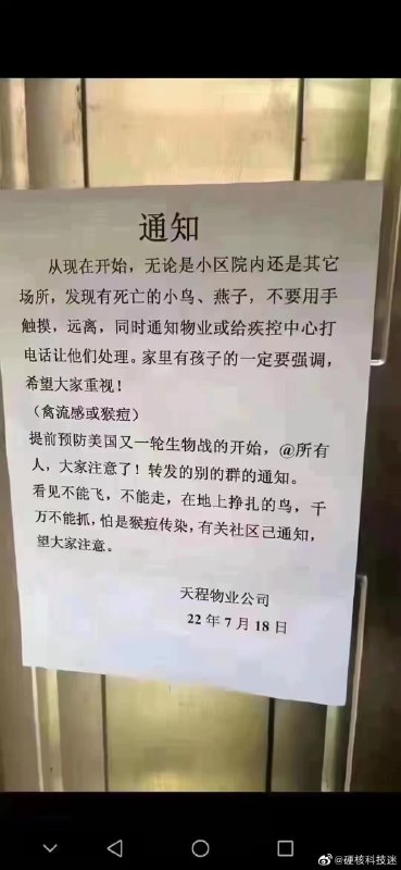 你国日常，全都是美国By