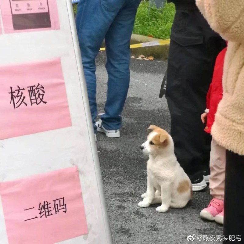 一些感人瞬间一些感人瞬间