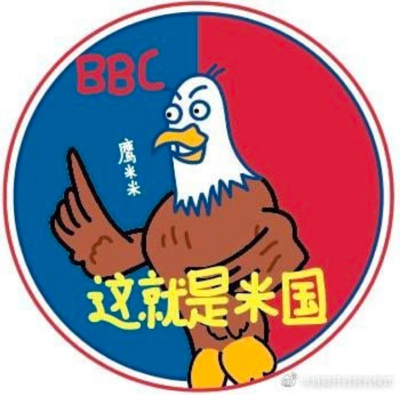 赵立坚下课了，布林肯赢麻了#这就是美国🇺🇸 #墙大的想象力 投稿By