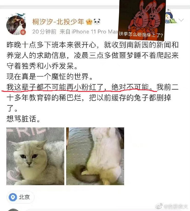 北京粉红现世报，怎么铁拳砸我头上了？投稿By