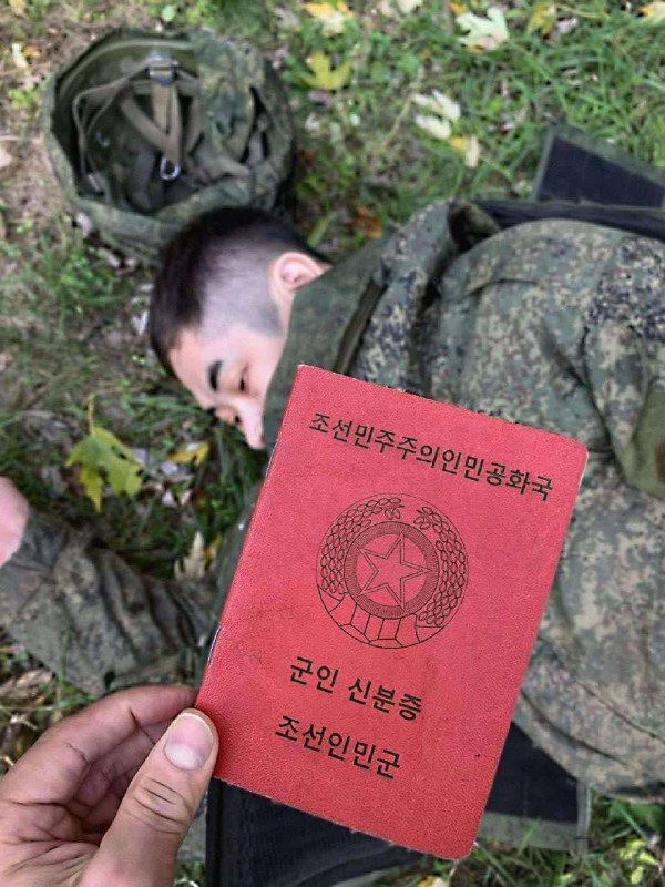 ❗️🇰🇵❗️什么