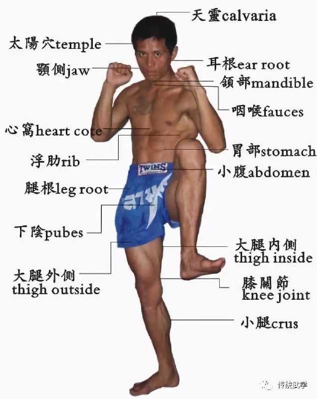 人类要害部位投稿By