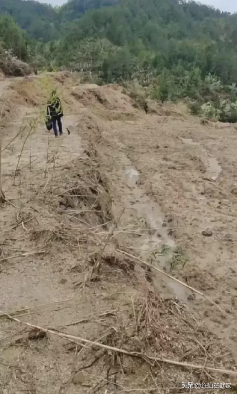 水稻上山的结局，暴雨=泥石流，没树林=沙尘暴水稻上山的结局，暴雨=泥石流，没树林=沙尘暴