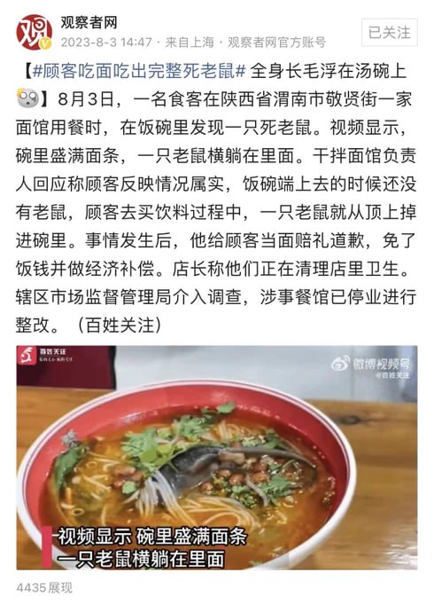 本年度流量明星-老鼠