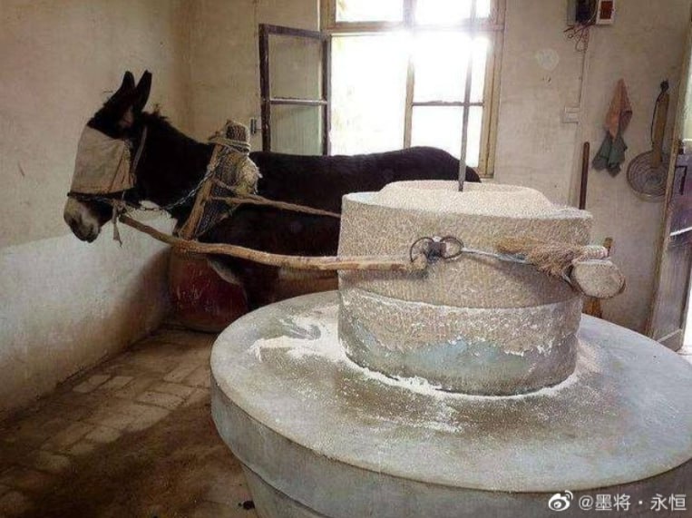 这还能自豪啊？ 出生率还是太高了这还能自豪啊？ 出生率还是太高了