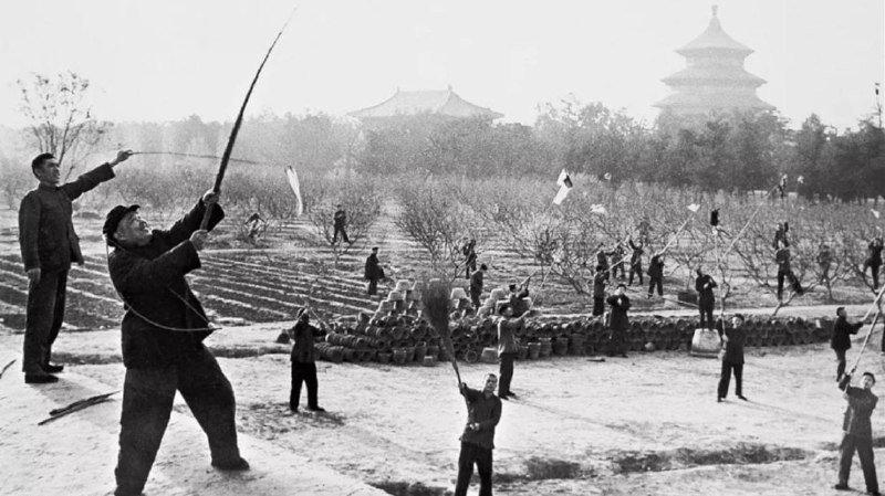 麻雀清零行动  与 病毒清零行动 异曲同工， 党带领人们走向一个又一个胜利麻雀清零行动  与 病毒清零行动 异曲同工， 党带领人们走向一个又一个胜利